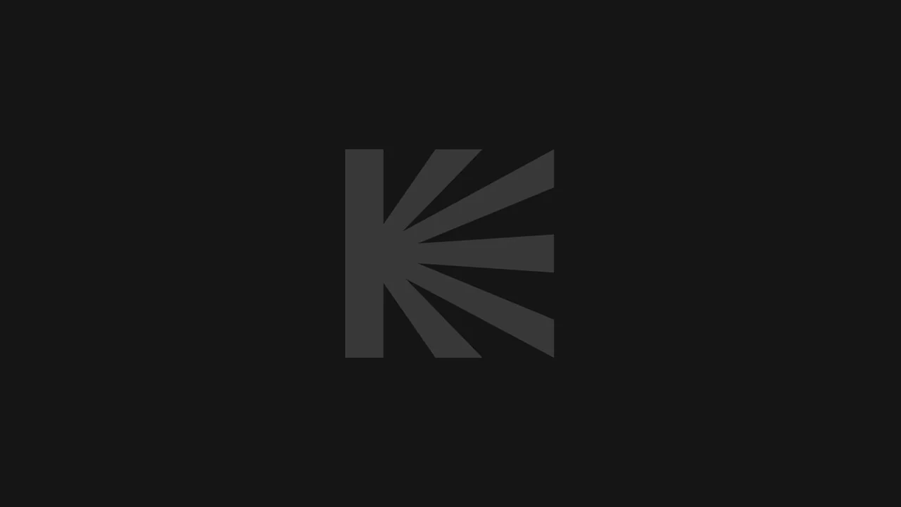 Фильм Паранормальное явление. Сеул (2025)