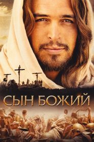 Сын Божий (2014)