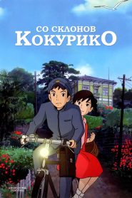 Со склонов Кокурико (2011)