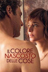 Il colore nascosto delle cose (2017)