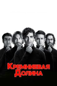 Кремниевая долина (2014)