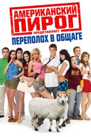 Американский пирог: Переполох в Общаге (2007)