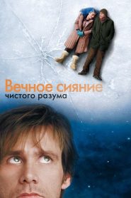 Вечное сияние чистого разума (2004)